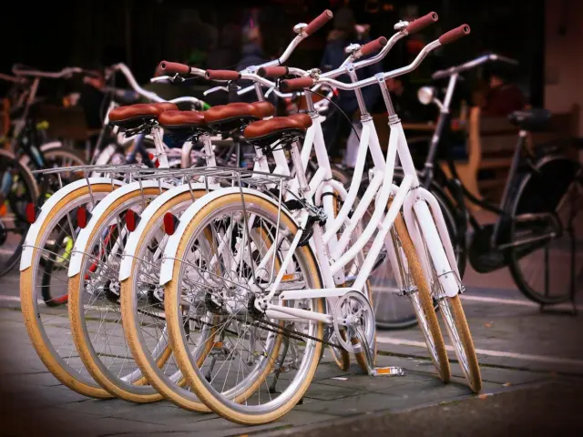 E-Bike Adoption Statistics