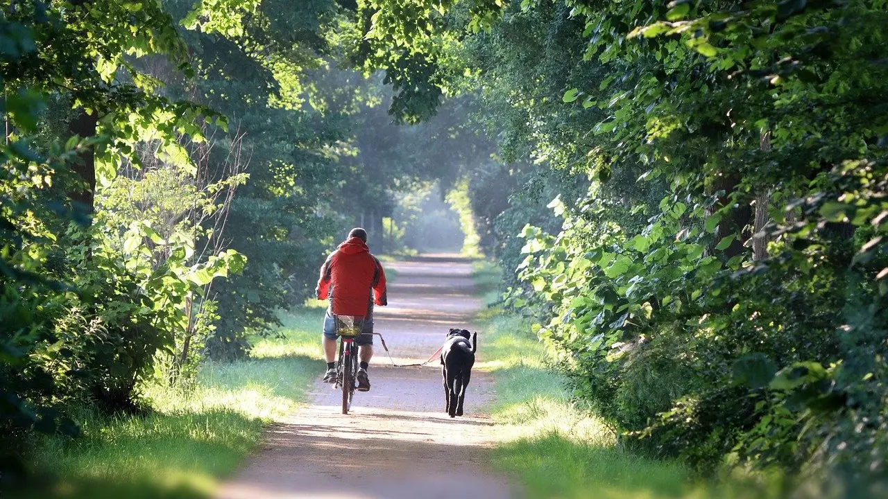where can you ride an electric bike