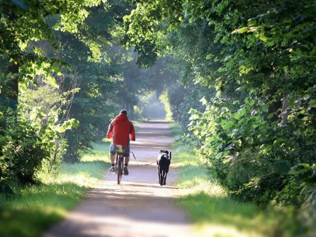 Where Can You Ride an Electric Bike