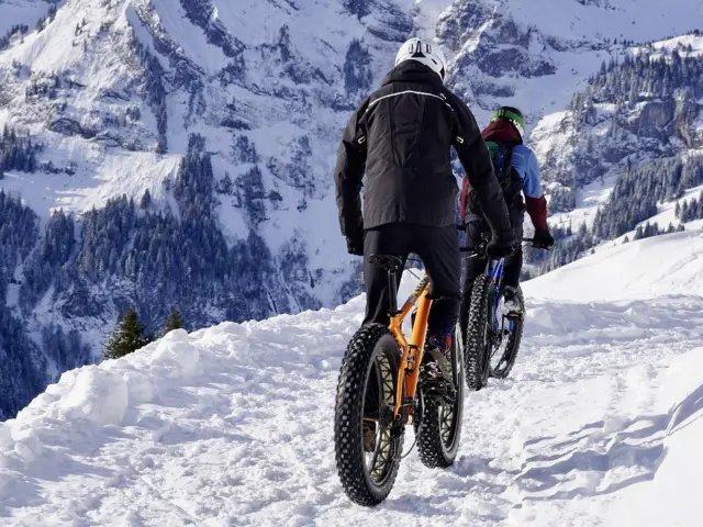 Fat Tire and Cargo Bike Conversion Kits