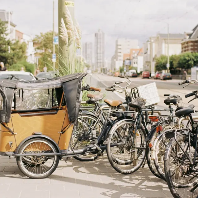 Best Bikes to Convert to Electric
