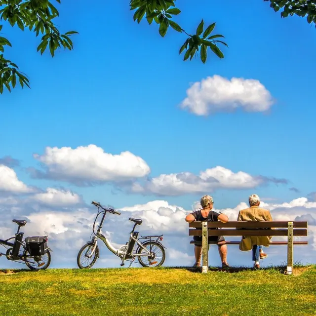 Ebike Motor Lifespan and Wear