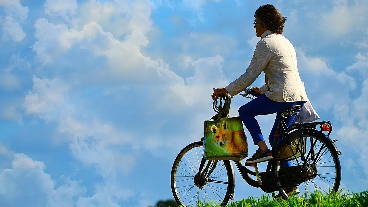 folding bike electric conversion kit