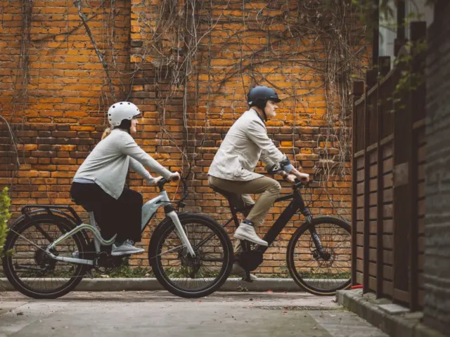 Electric Bikes as Green Transport