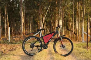 geared hub motor vs direct drive